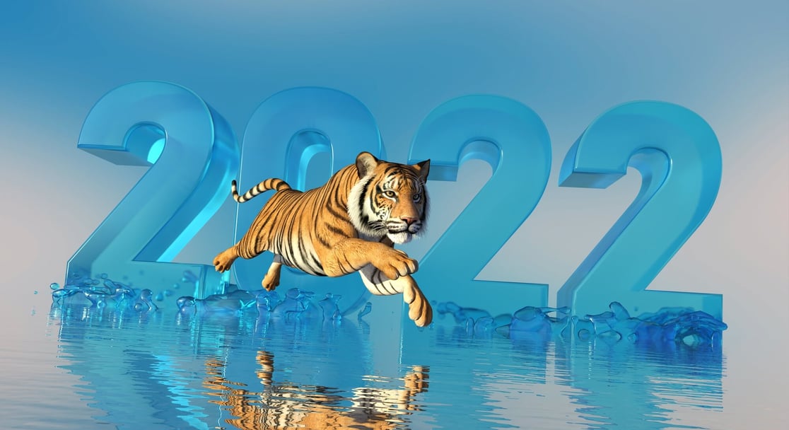 Happy Lunar New Year – the Year of the Water Tiger
