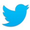 twitter-icon-8.png